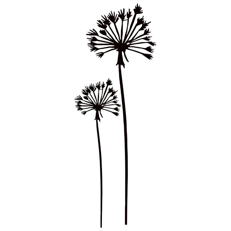 Pusteblumen, Löwenzahn