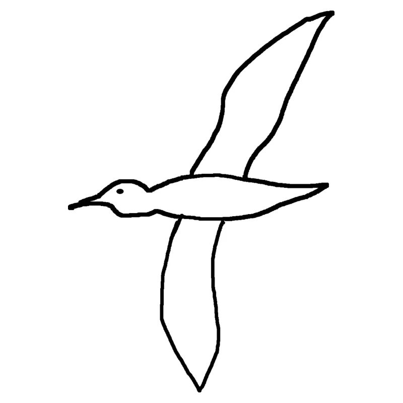 seagulls,birds,sea,beach,gift,funny,cool,trend
