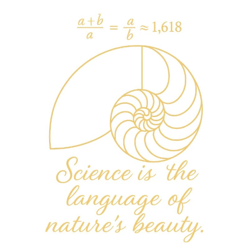 Shell of Fibonacci