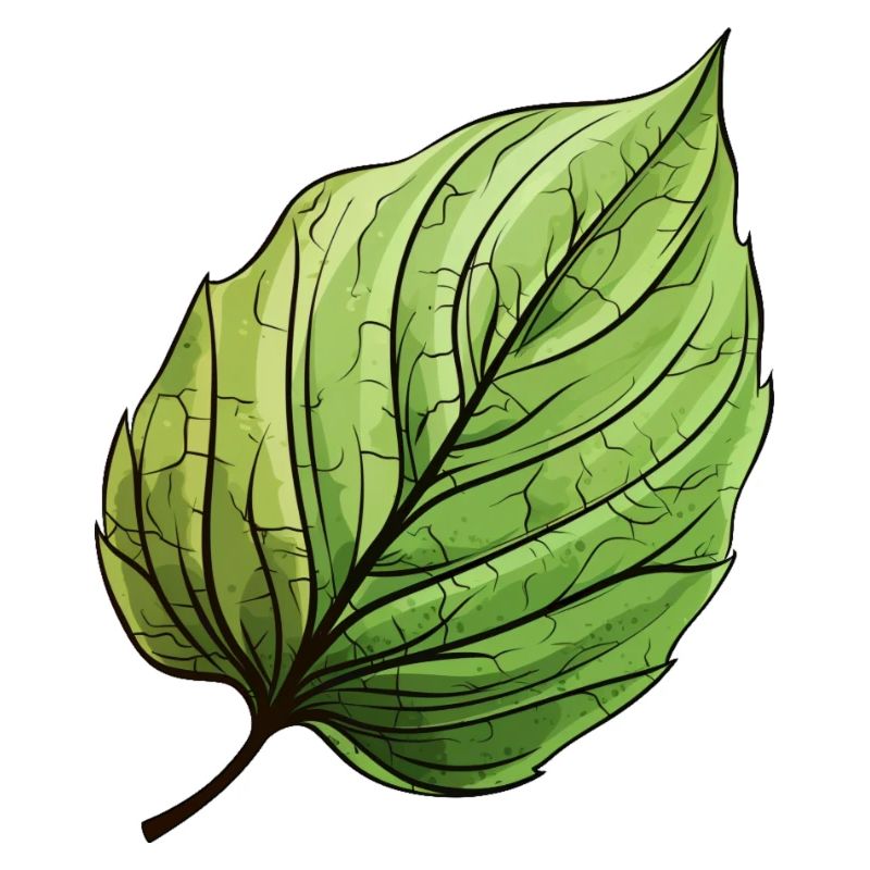 Blatt Gün