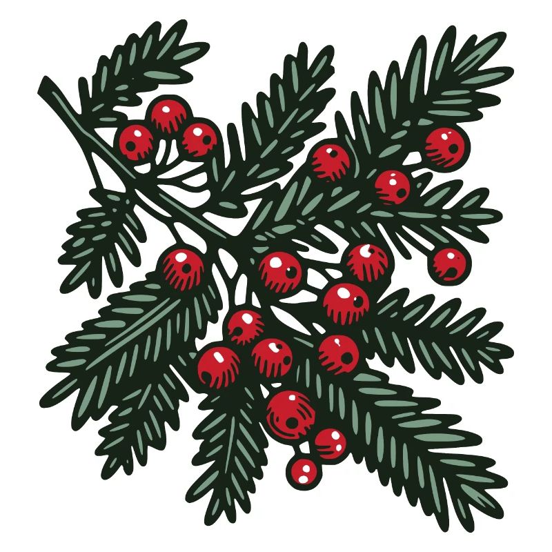 Tannenzweig Ast
