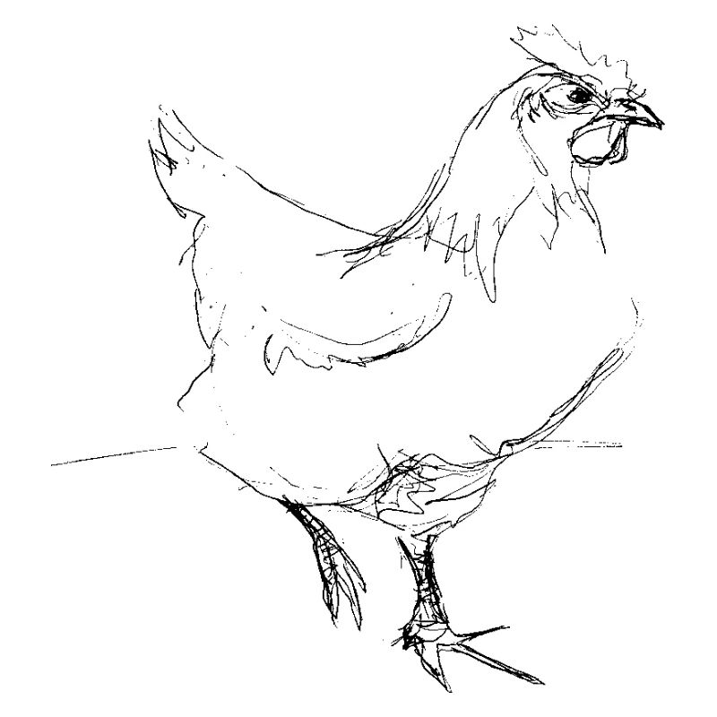 Huhn