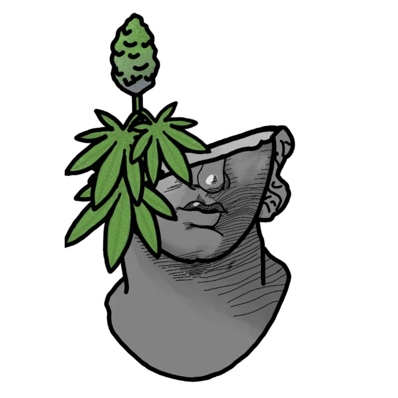 Stoned bust