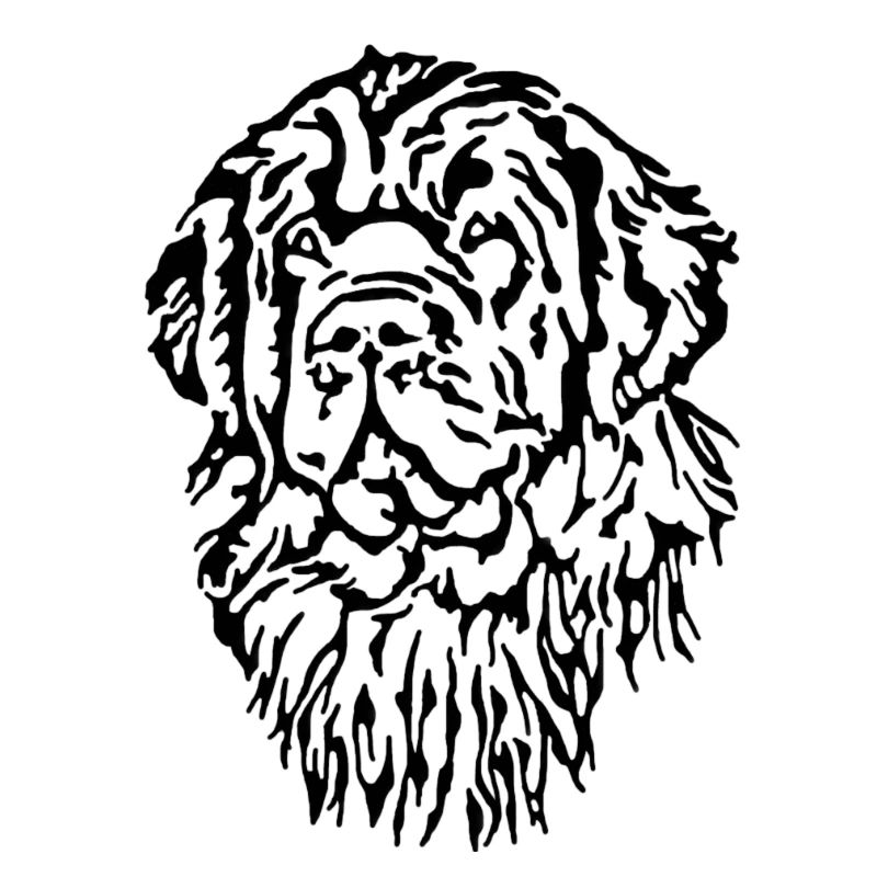 Newfoundland head