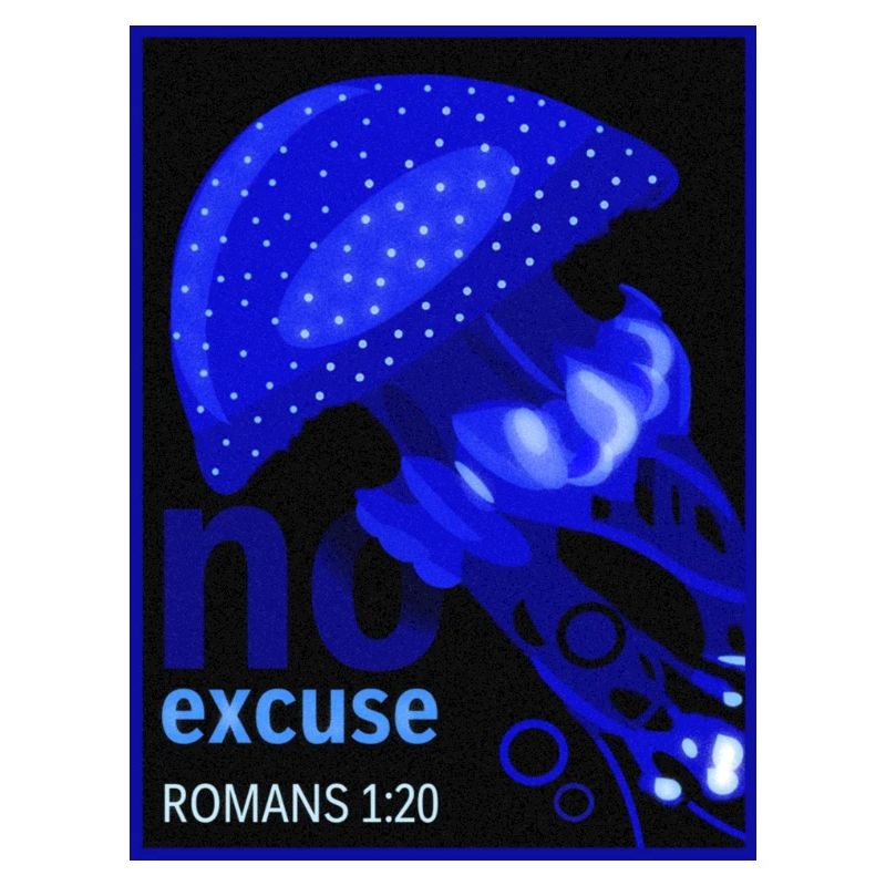 Qualle - no excuse