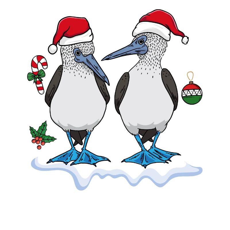 Fou à pieds bleus de Noël