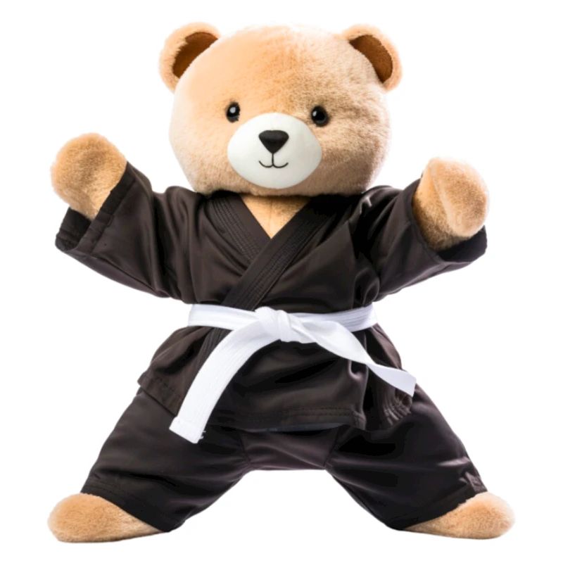 Karate-Bär