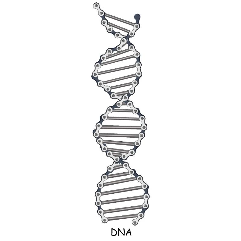 Fahrrad-DNA