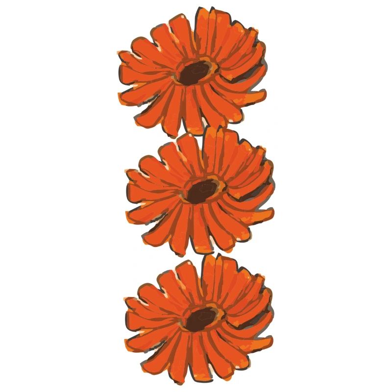 calendula RINGELBLUME