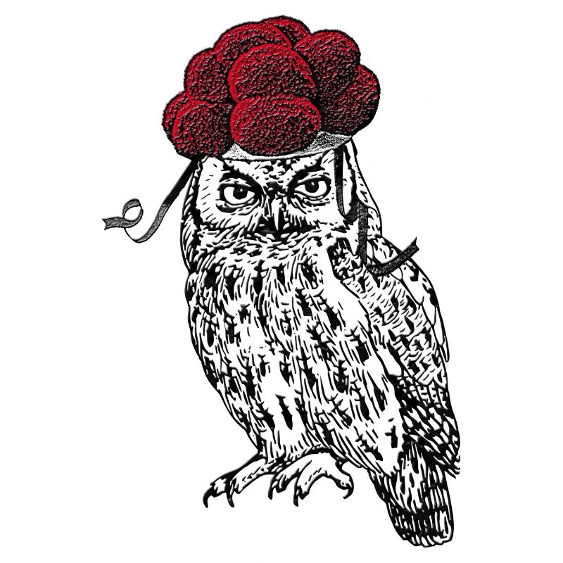 🦉 Eule mit Bollenhut 🌳