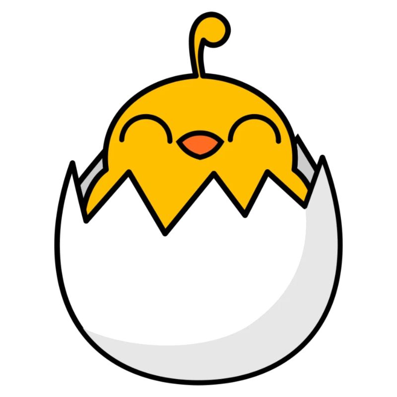 Chick Freshly hatched from the egg