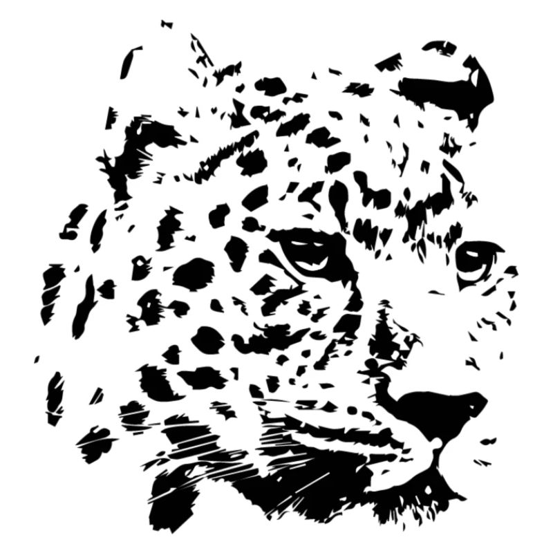 panther