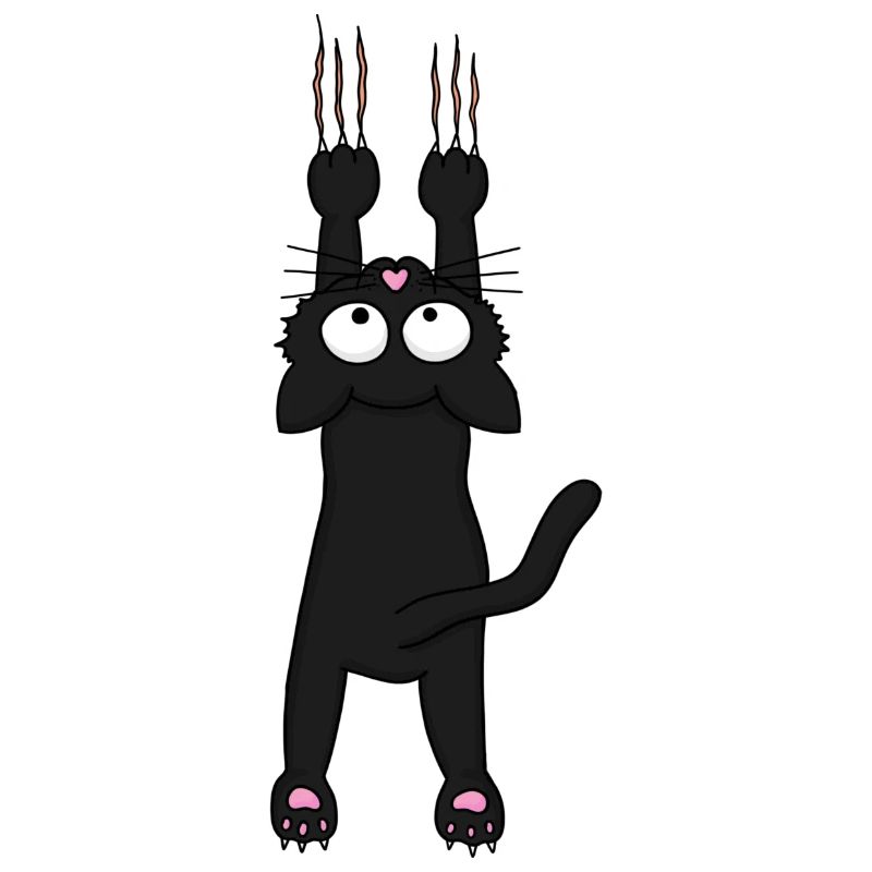 Schwarze Katze (neu)