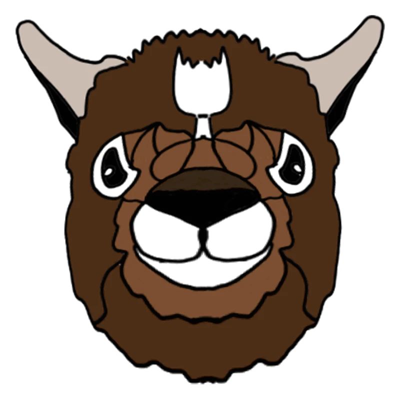 Lama Kopf