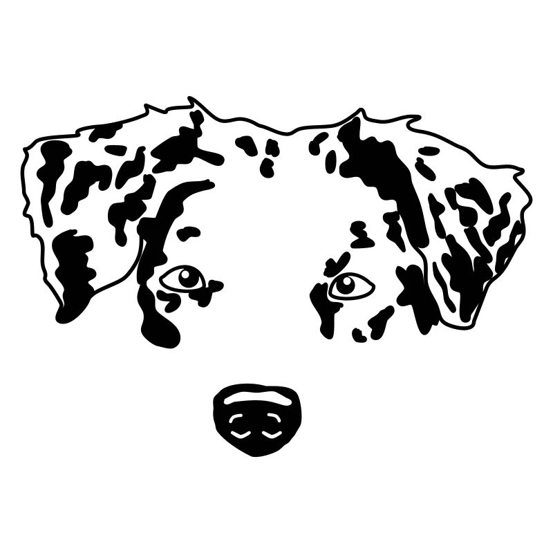 minimal Australian Shepherd Aussie dog