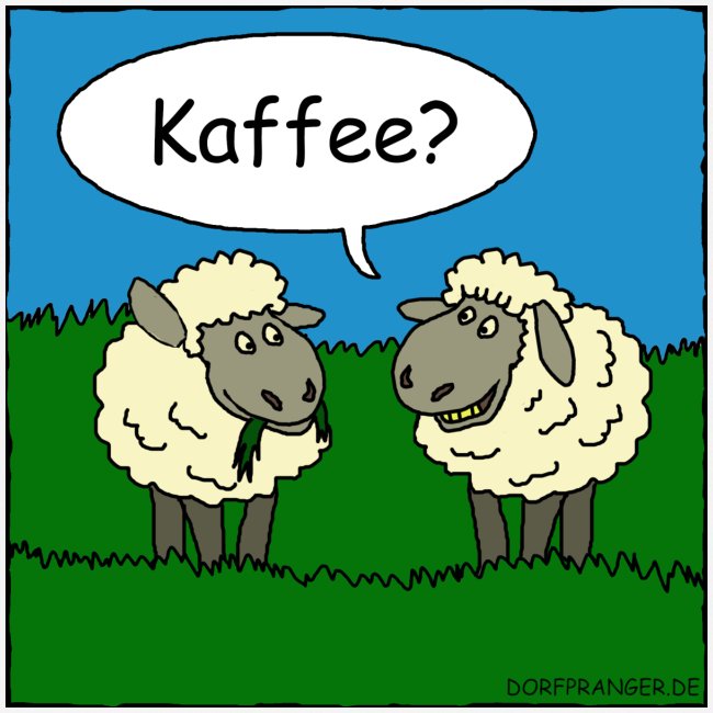 Schafe: Tasse Kaffee
