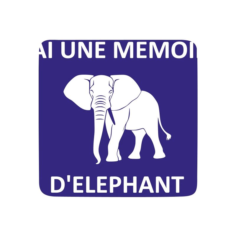 I have an elephant's memory