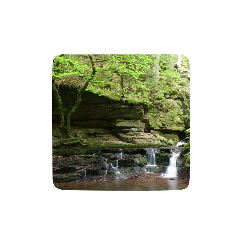 Black Forest Monbach