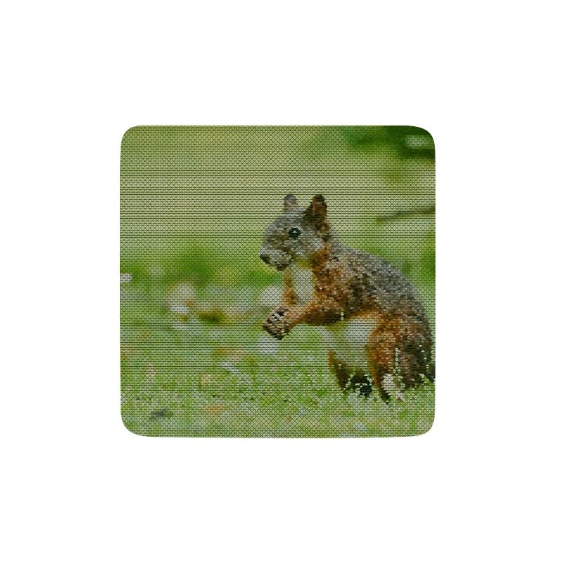 Squirrel Forest Pattern