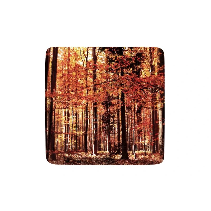 Herbstwald in Rot