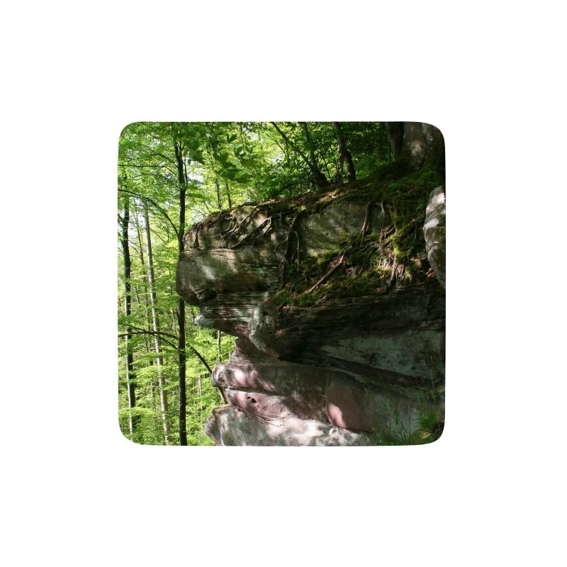 Waldfelsen im Morgenlicht / Nordschwarzwald