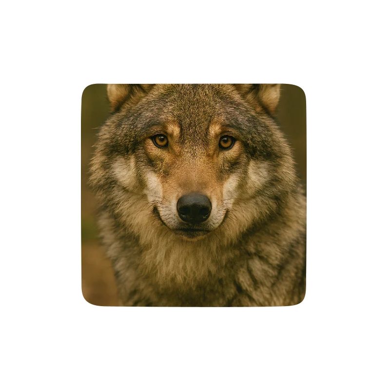 Tier, Wolf