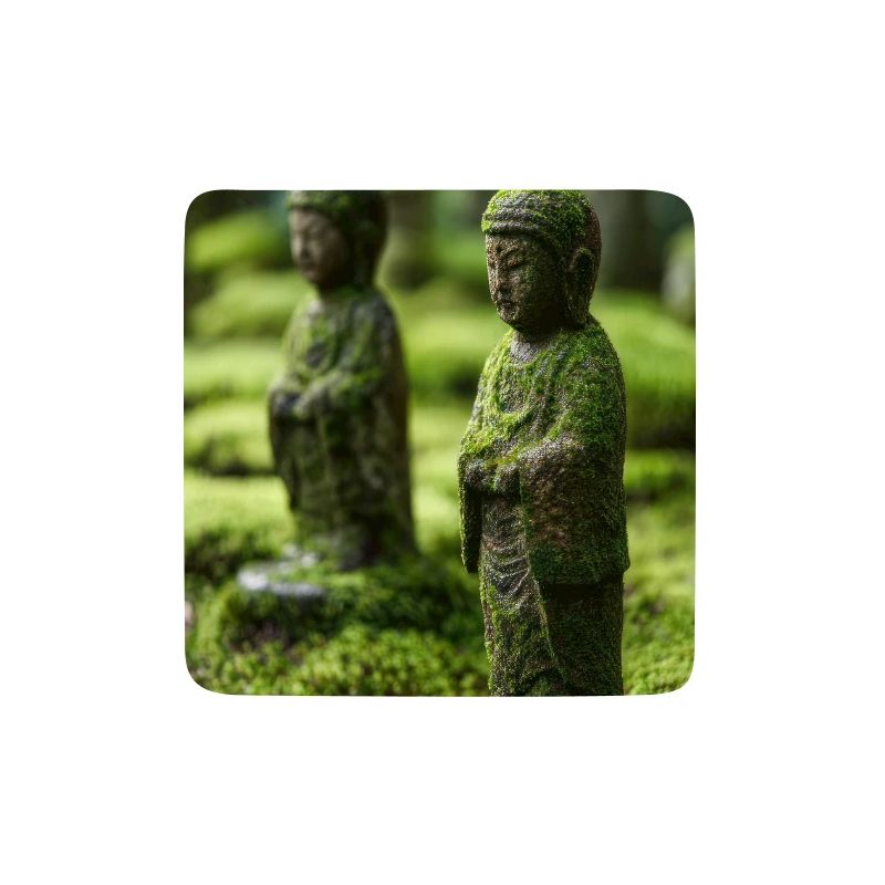 Statuen des Moos-Buddha-Gartens