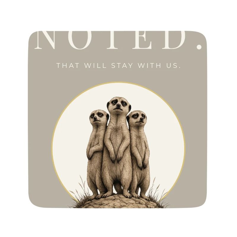 Noted Funny Meerkat