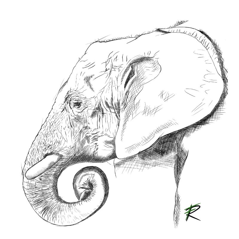 Elefant