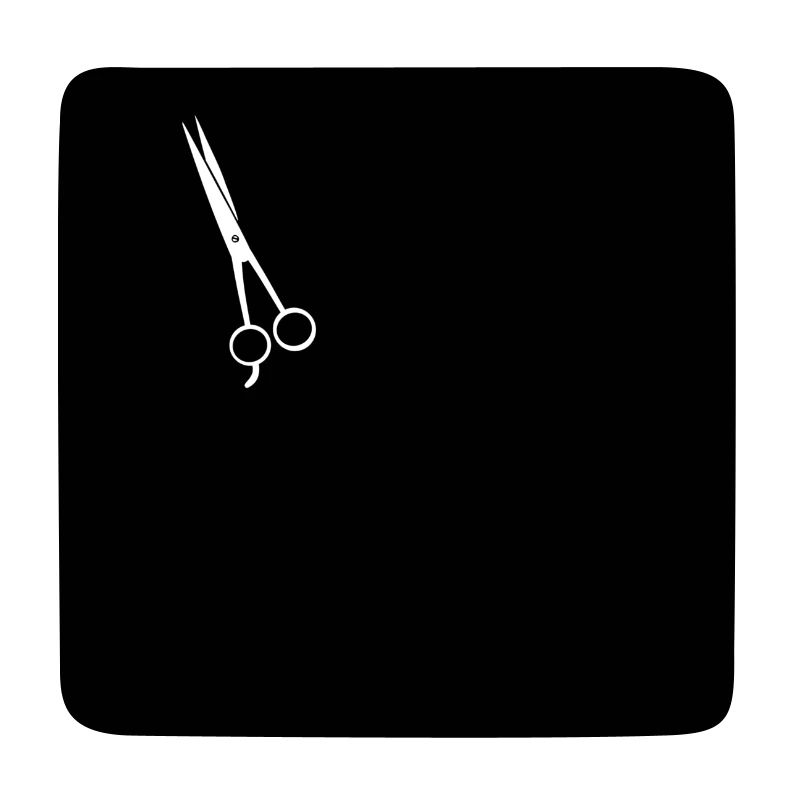 Ciseaux de coiffeur