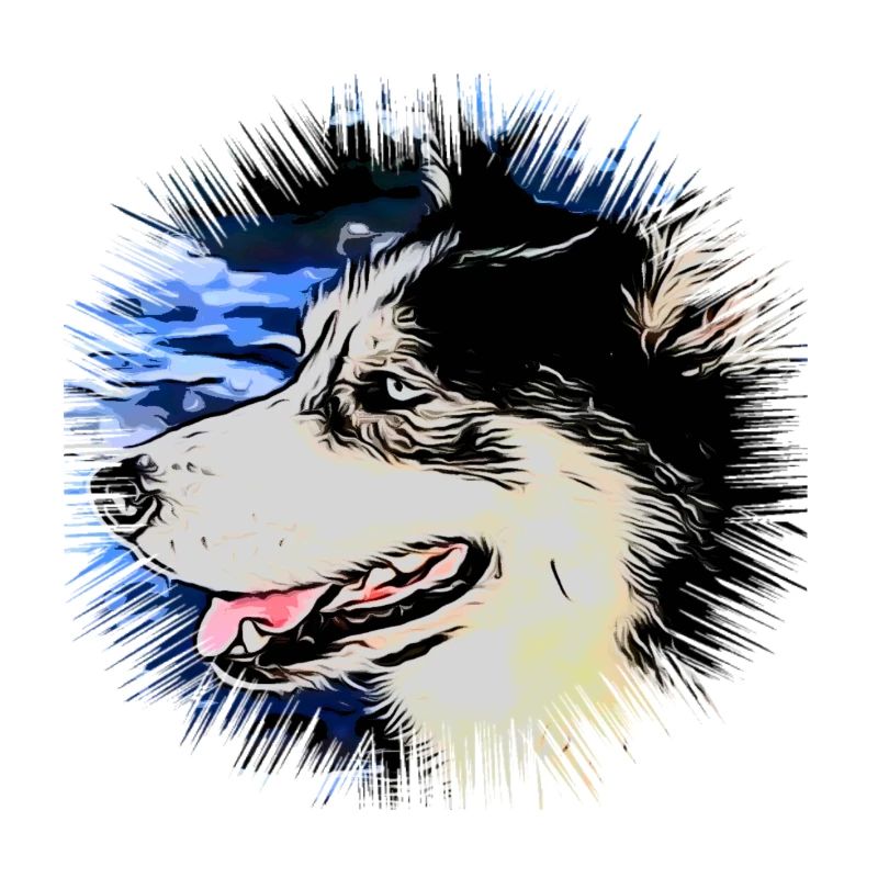 Husky