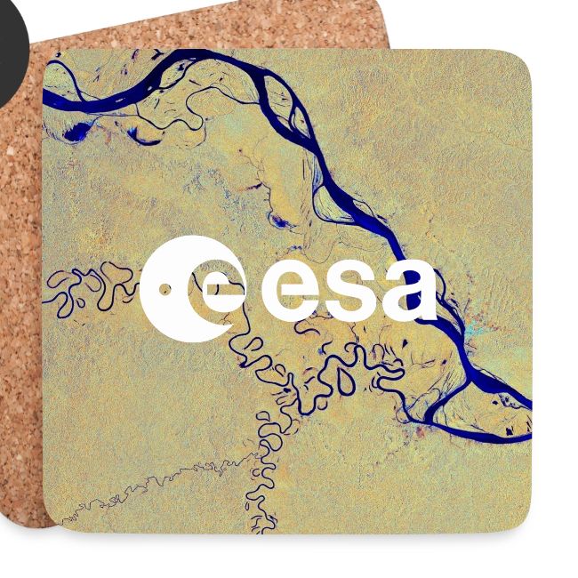 Earth from Space - Amazon River
