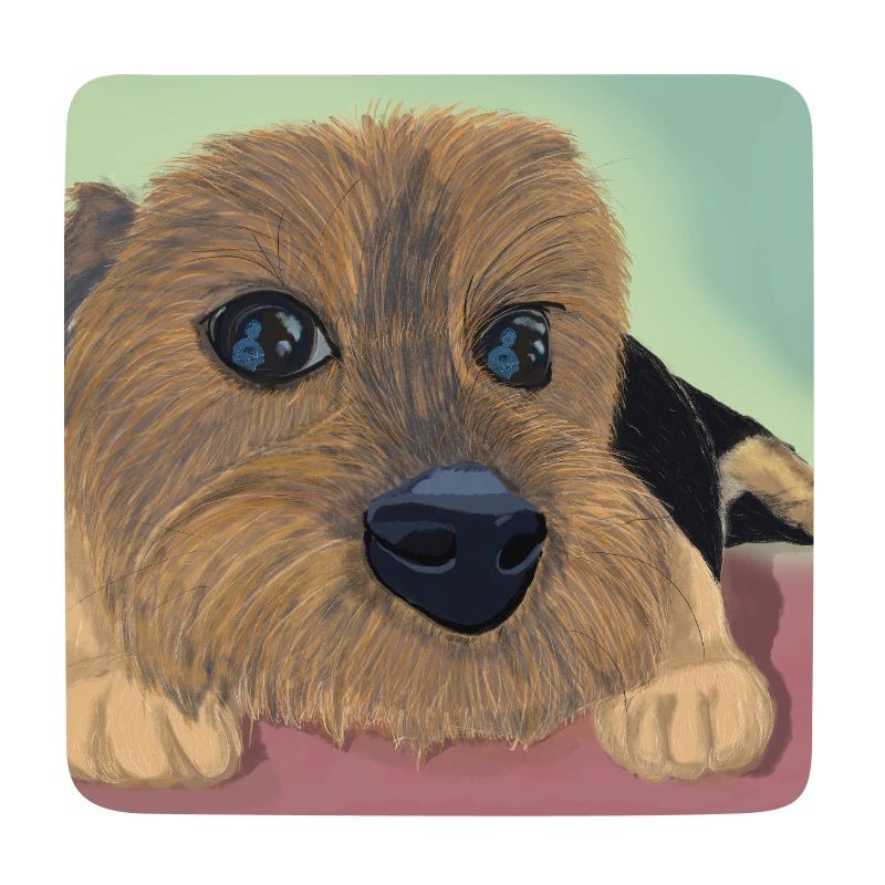 Hundeaugen oder Liebesreflex