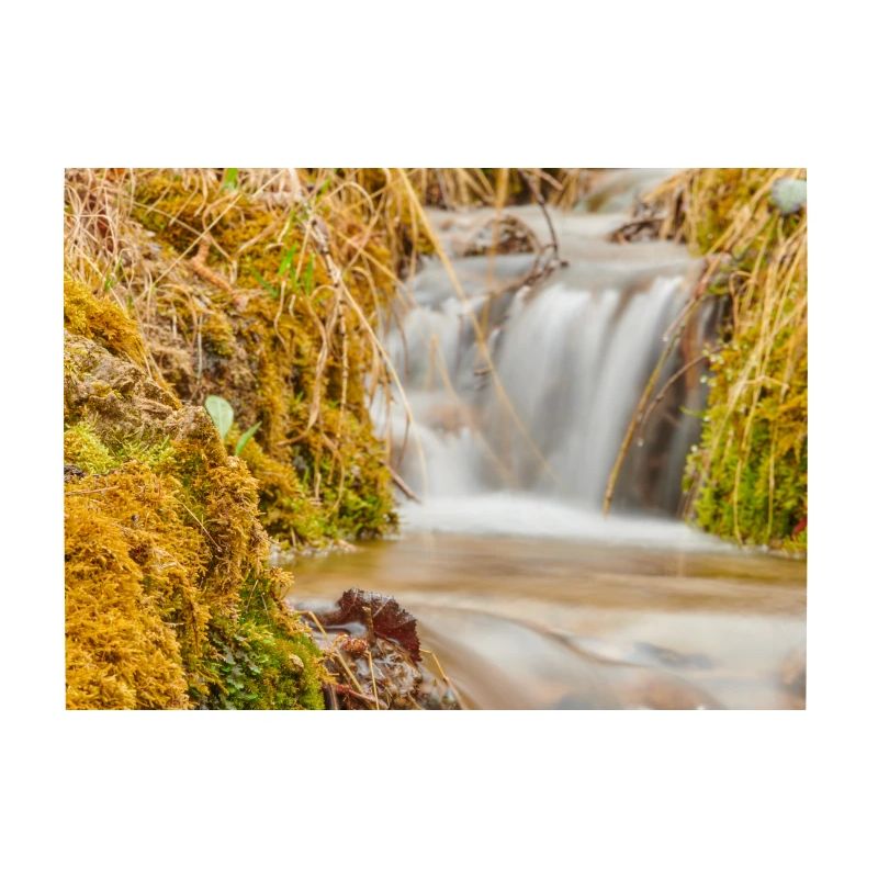 Talking water 1
