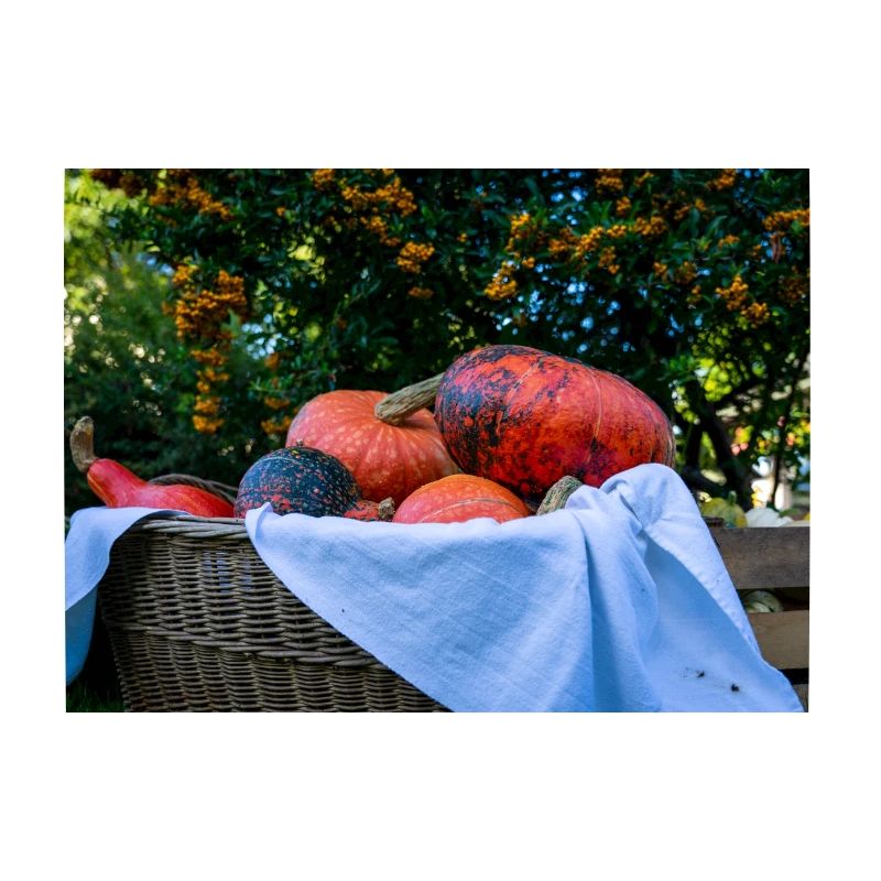 Panier de citrouille