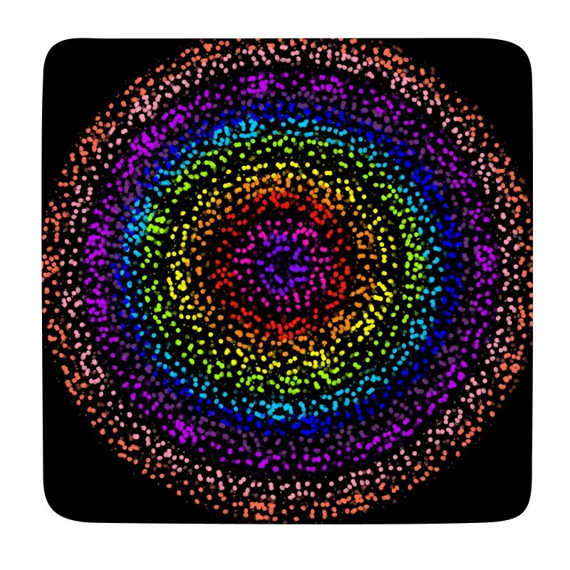 Concentric rainbow dot circles