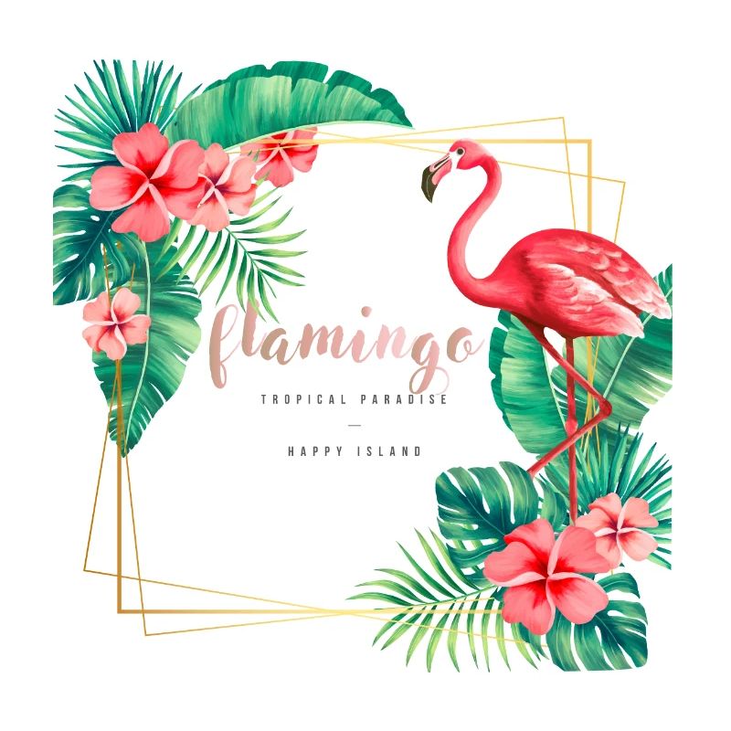 Flamingo3