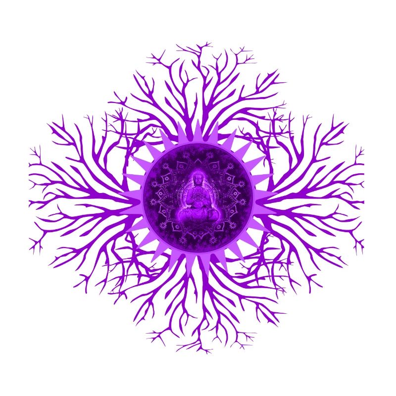 Kronenchakra Chakra