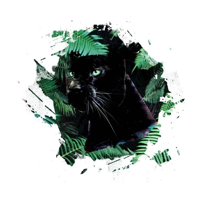 panthère, guépard, léopard, noir, vert, jungle
