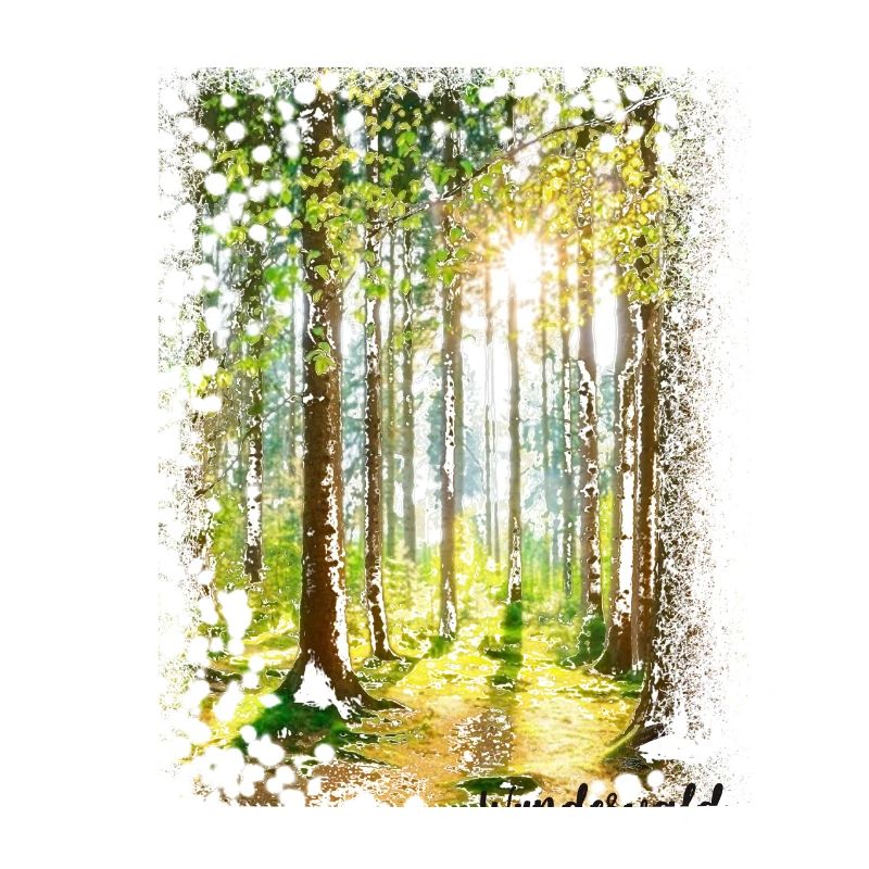 Wunderwald, Wald