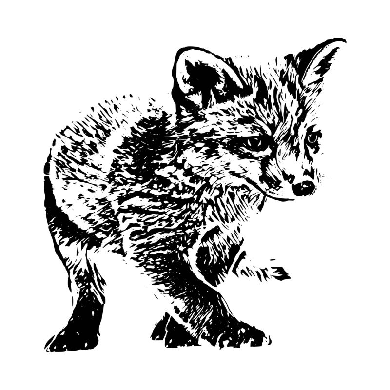 Fuchs