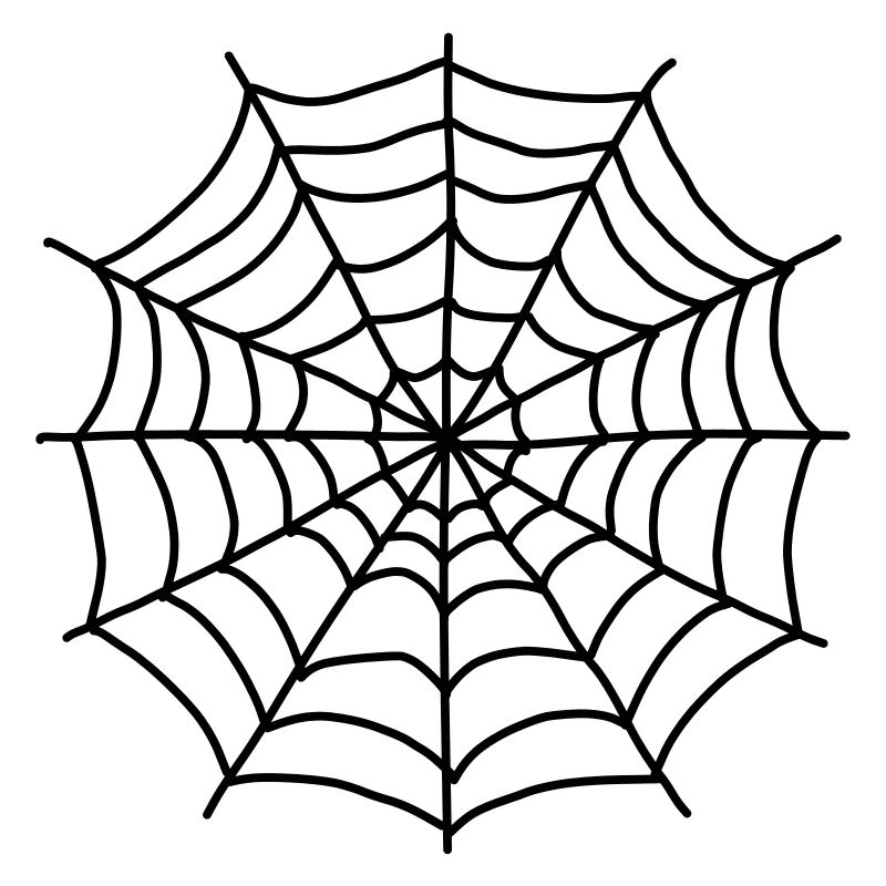 Spinnennetz