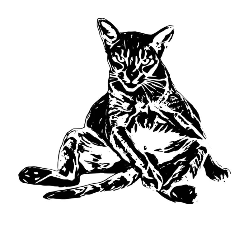 Chat