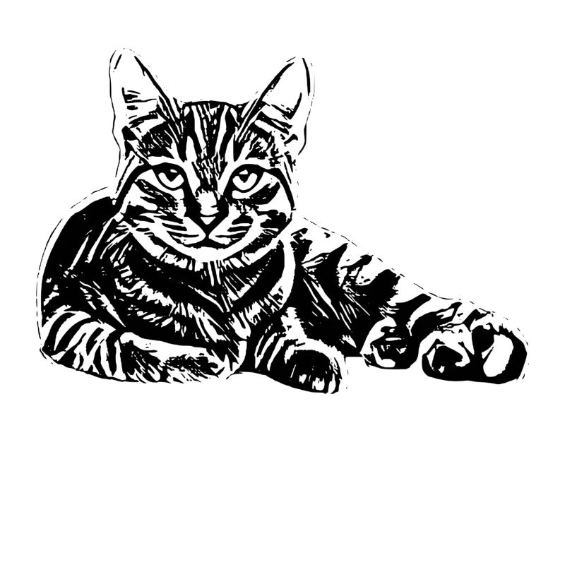 Chat