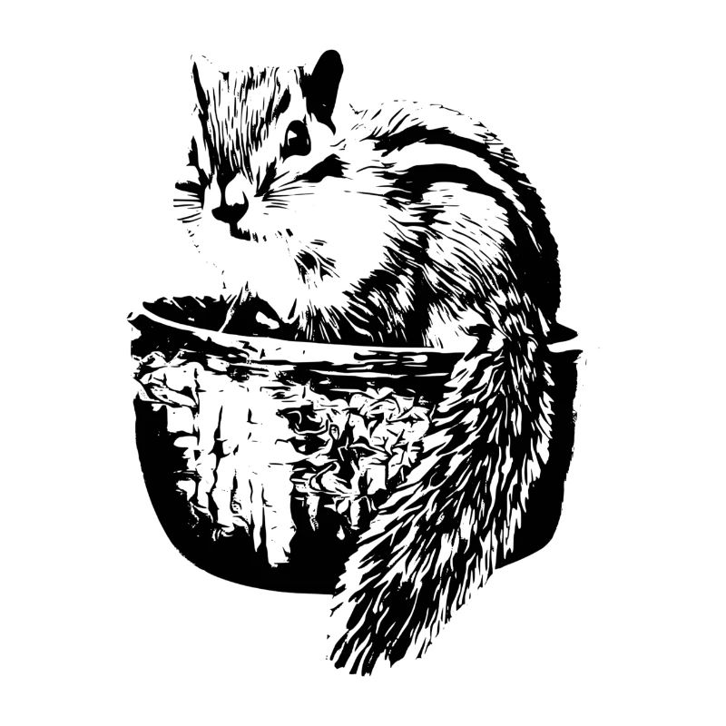 Eichhörnchen