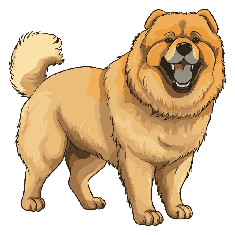 Chow Chow Chien