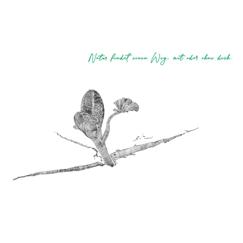 Natur findet einen Weg, mit oder ohne dich