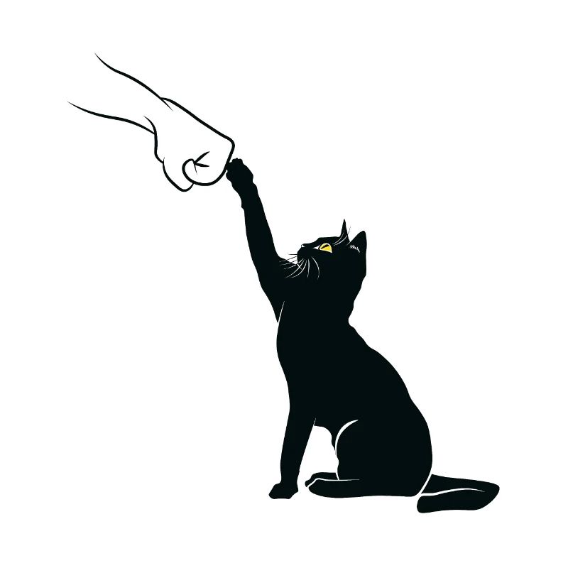 Schwarzer Katzenfauststoß