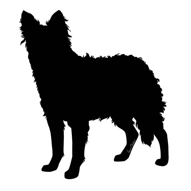 arc en ciel Mudi Noir