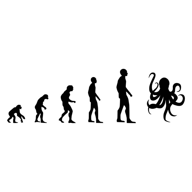 Kraken – Evolution